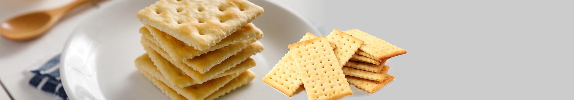 Soda Cracker