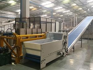 Dough Cutting Machine with Conveyor