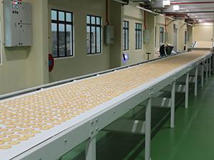 Straight Line Type Cooling Conveyor